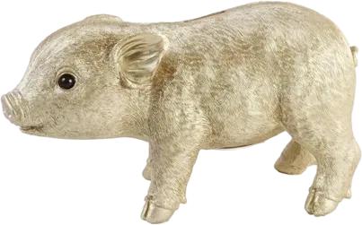 Pig Spaarpot