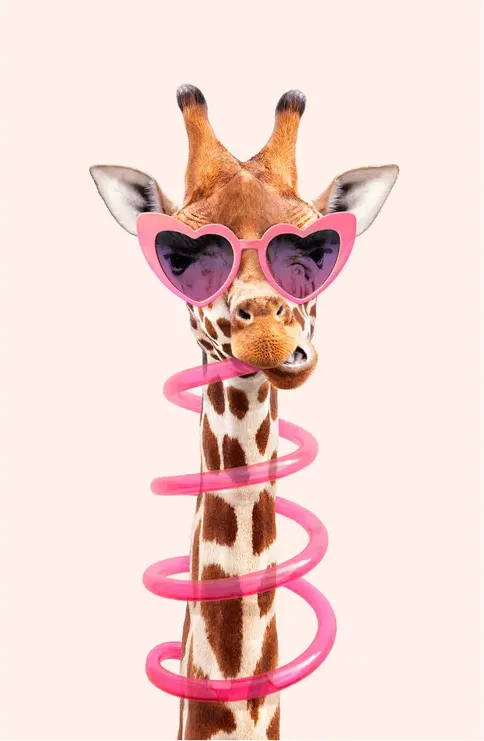 DORSTIGE GIRAFFE