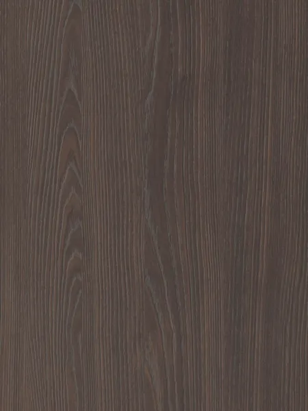 Oak S175 Corteccia